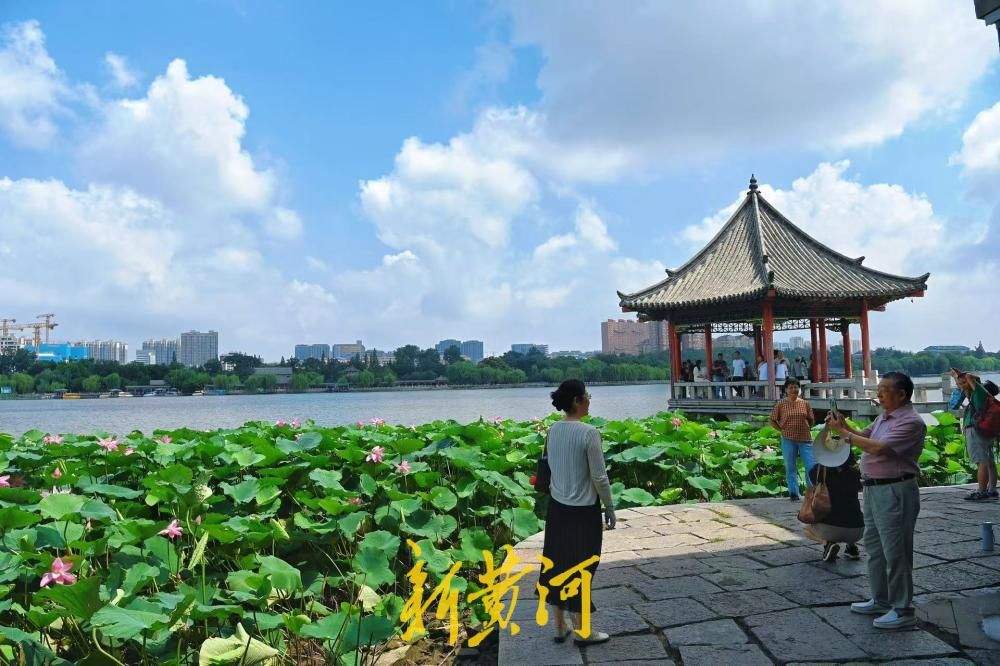 一年四季 泉在济南｜雨后泉城颜值爆表 大明湖蓝天白云荷景如画