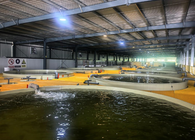 跳出帮扶看协同：强县不愿帮、弱县接不住？山东这样破局