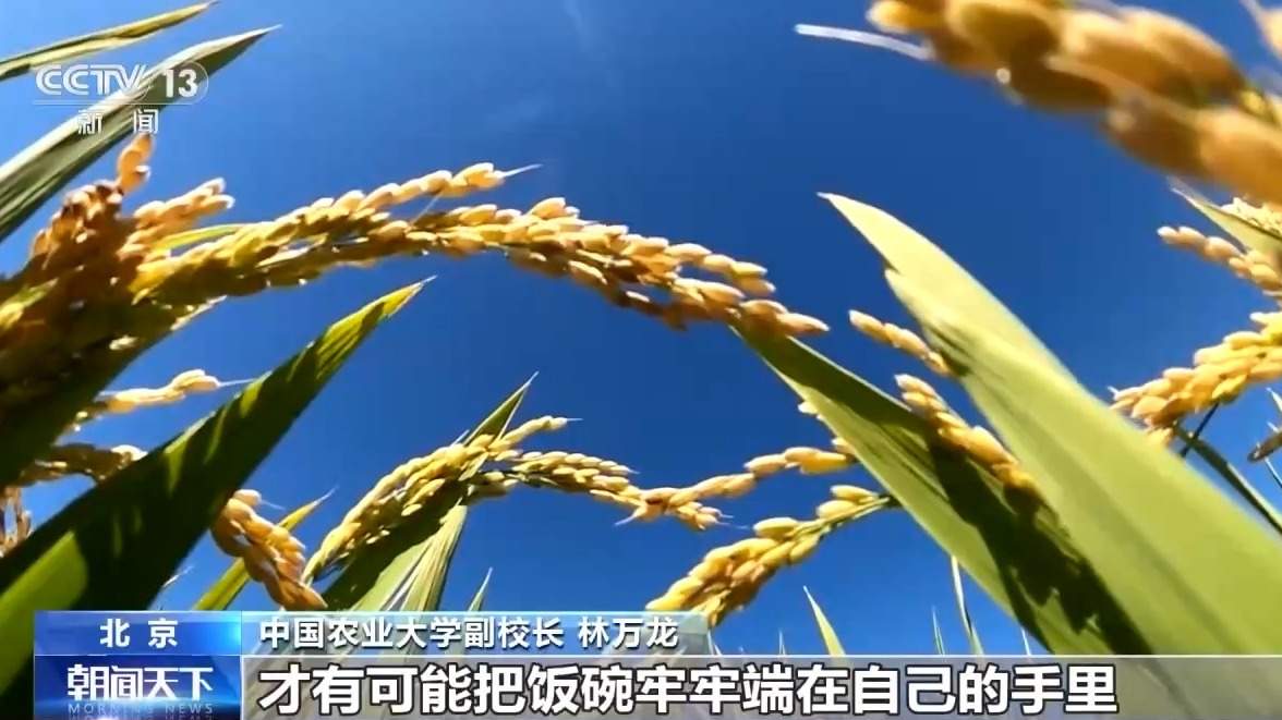 中国农业大学副校长 林万龙:所以"大农业"为"大食物"奠定了扎实的基础