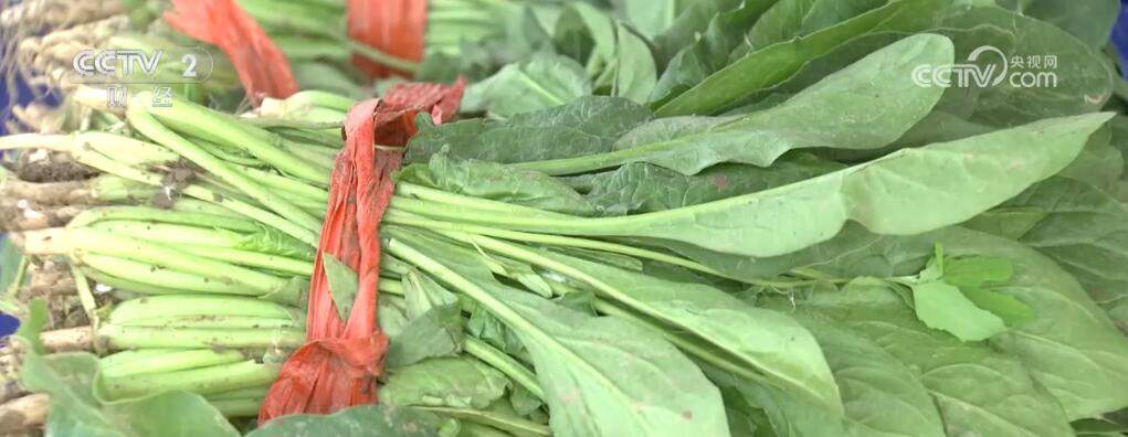 4月份“菜篮子”价格季节性下降 主产区蔬菜上市正当时