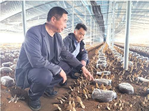 扎根乡土，他们用“实干担当”诠释“为民初心”