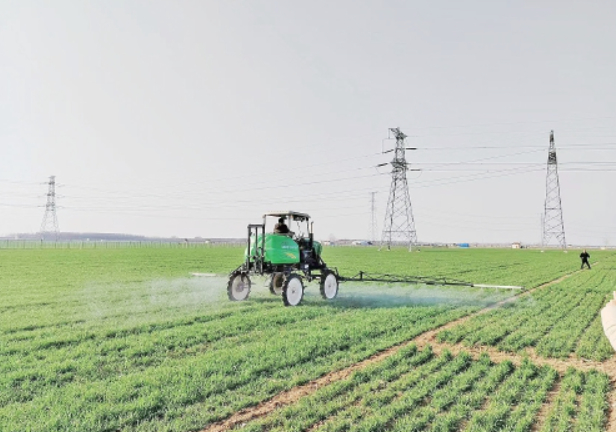 拧紧“科技密钥” 济南“稳粮故事”多