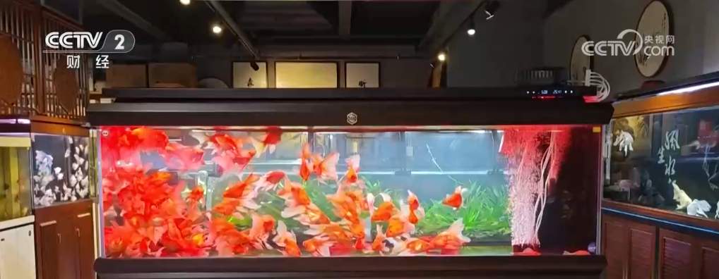 多地年货大集琳琅满目供销两旺 浓浓“烟火气”里喜迎新春佳节