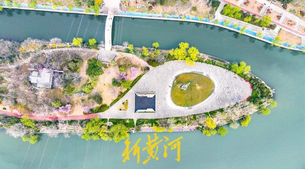 小清河五柳岛杨柳吐绿 济南市区最大河中岛春意盎然