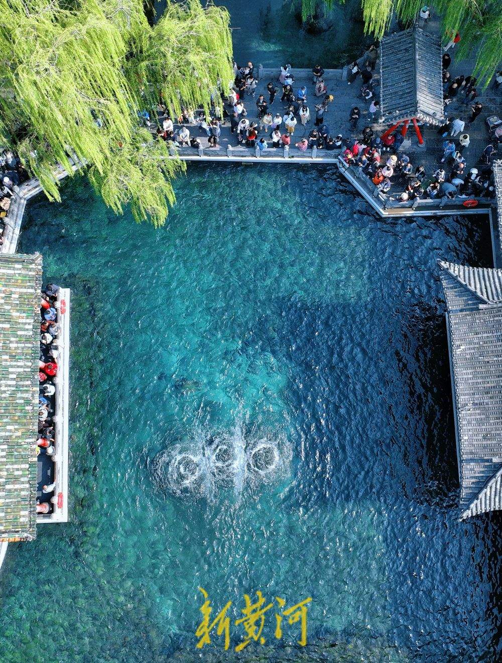 济南趵突泉欢畅喷涌，30.29米刷新近60年以来最高水位