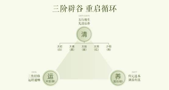 多燕瘦辟谷套餐靠不靠谱？揭秘“清通调”三阶管理与55种食材的科学真相