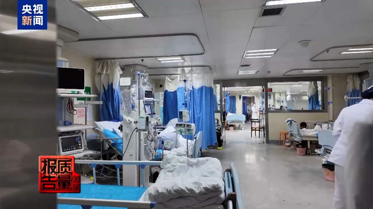 云南大理“采菌游”爆火 无序采摘已引发多起警情