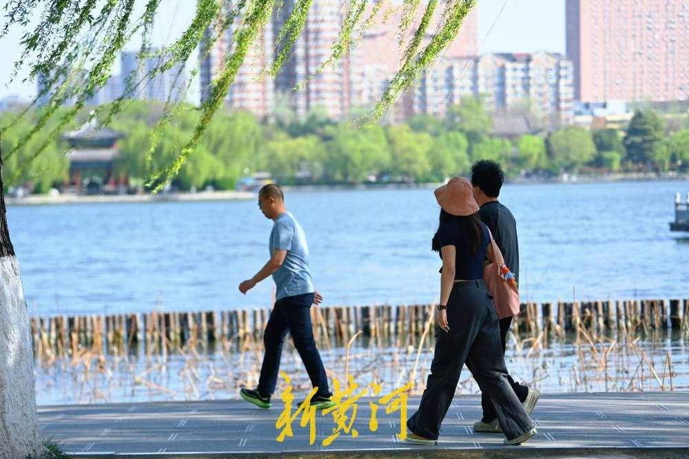 济南大明湖迎客流高峰 游人行走湖畔宛若画中游