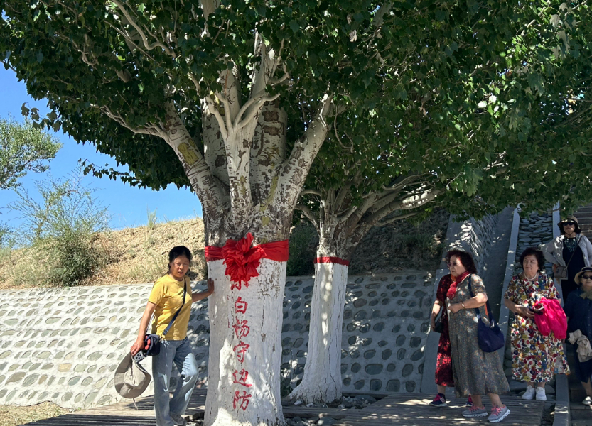 一棵白杨树 万千戍边情——探访塔城“小白杨哨所”的精神密码