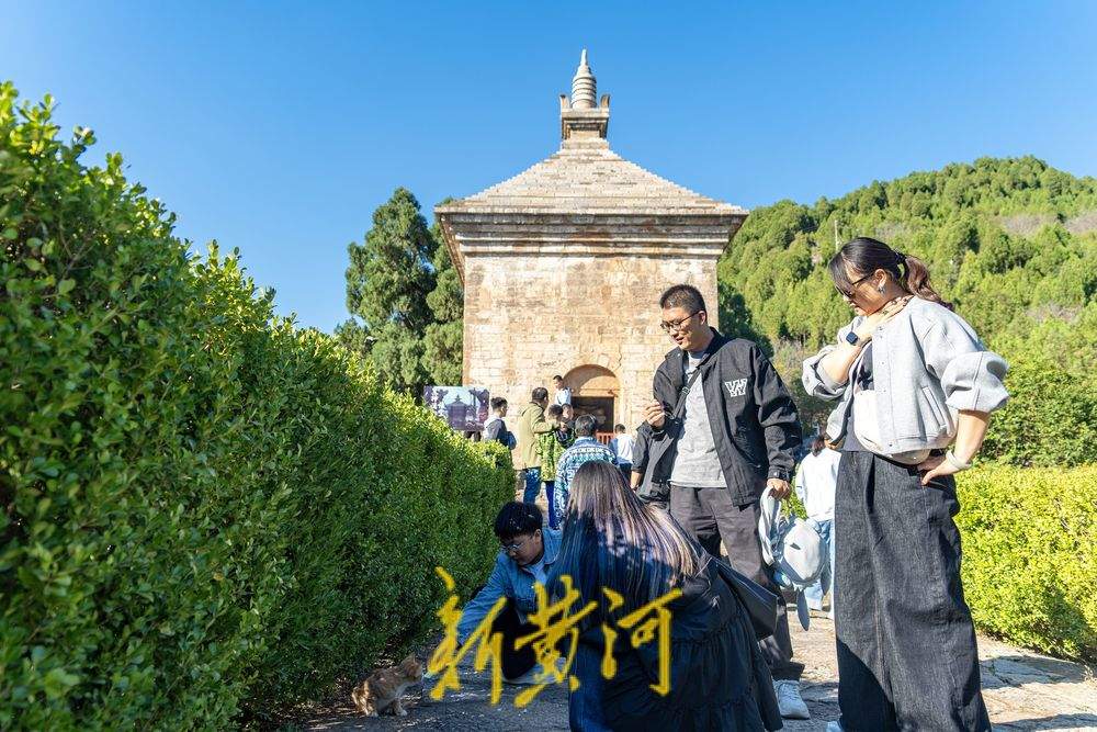 跟着悟空游济南！感受四门塔“猫猫寺”的魅力 