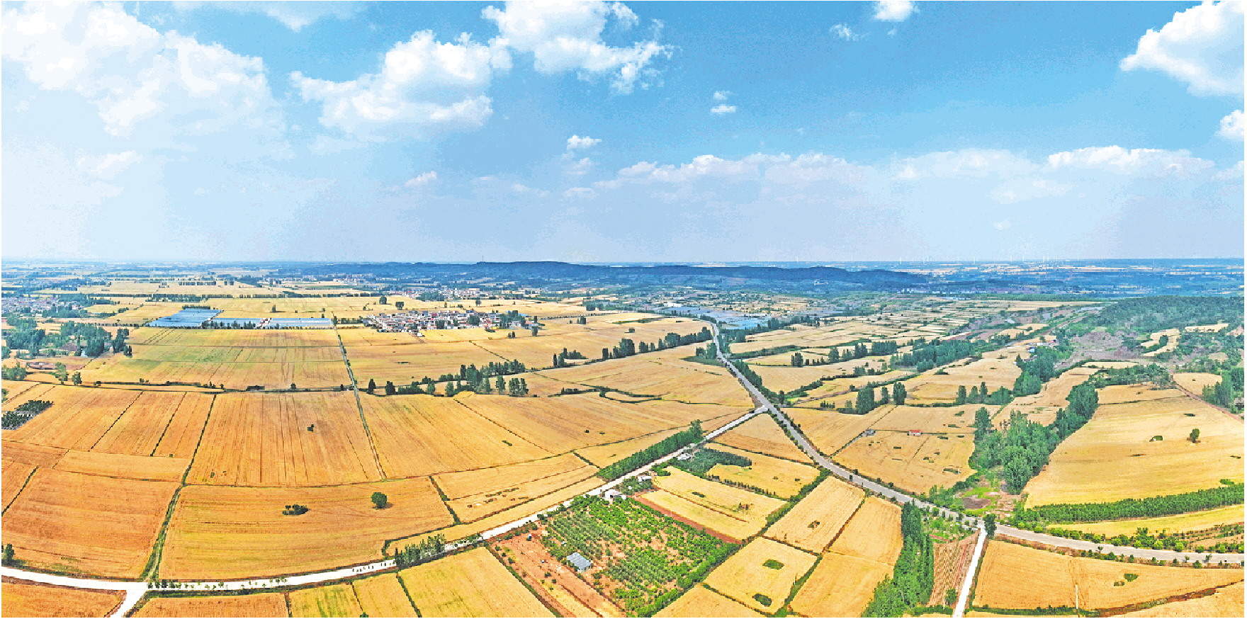 藏粮有方 “齐鲁粮仓”更满更优