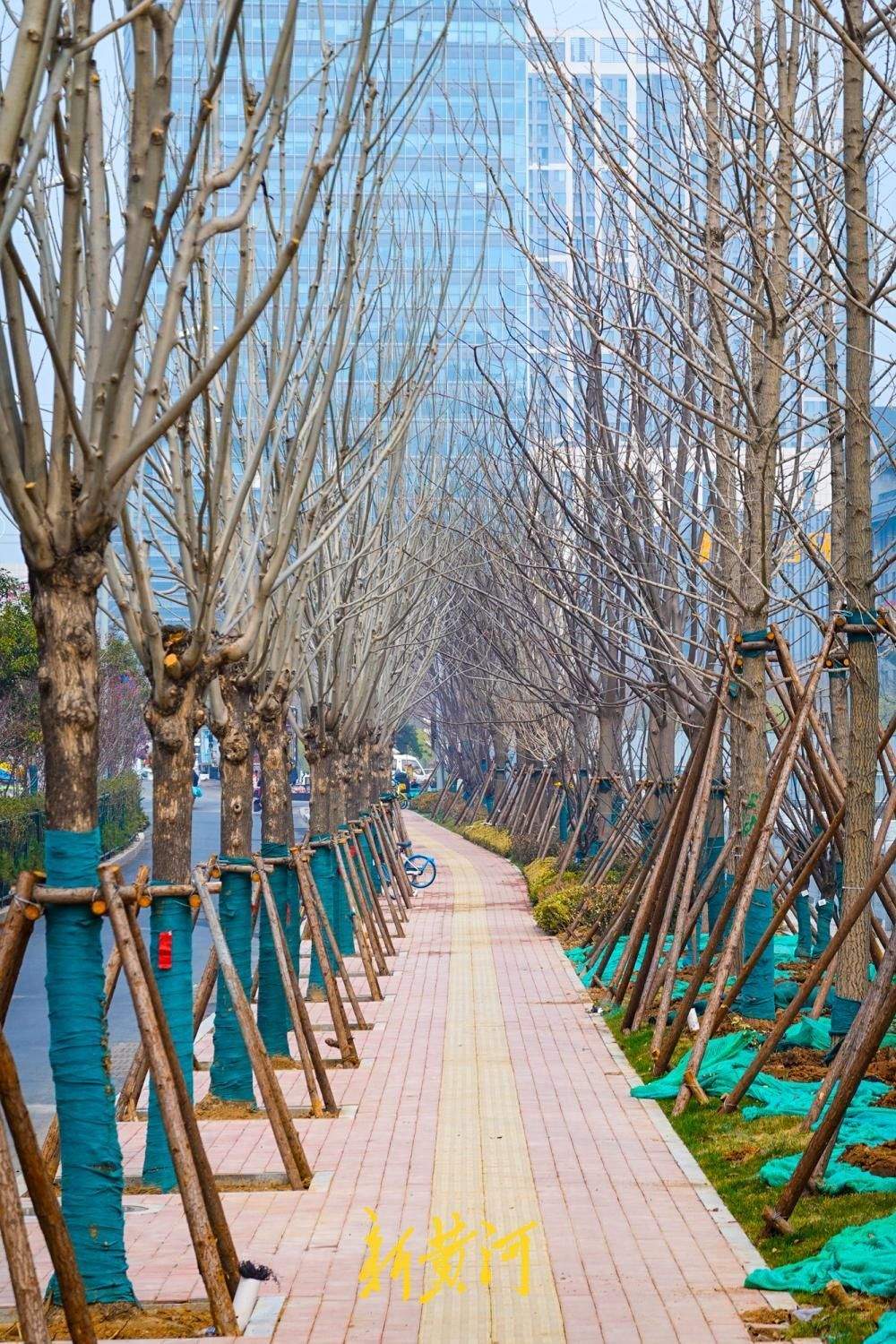 济南东泺河变身“诗词长廊”,二安文化刻上护栏