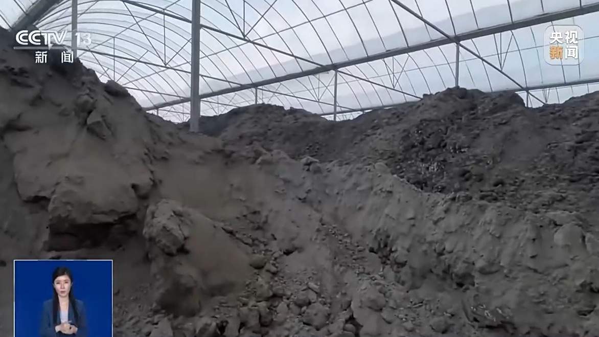 低价“营养土”重金属超标变“毒土” 专家支招教你正确选购