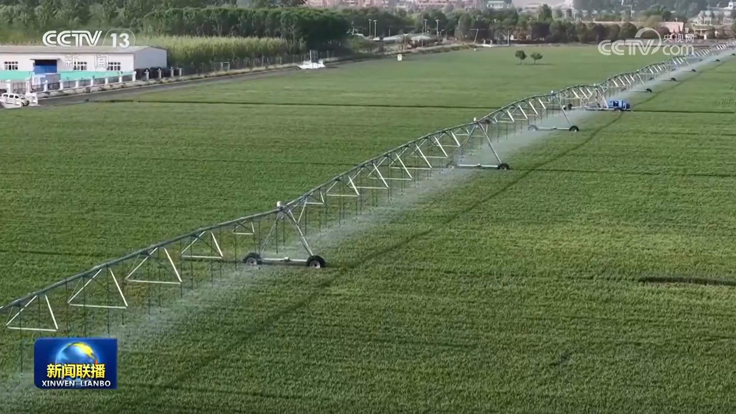 【在希望的田野上】我国粮食生产开局良好 面积稳中有增