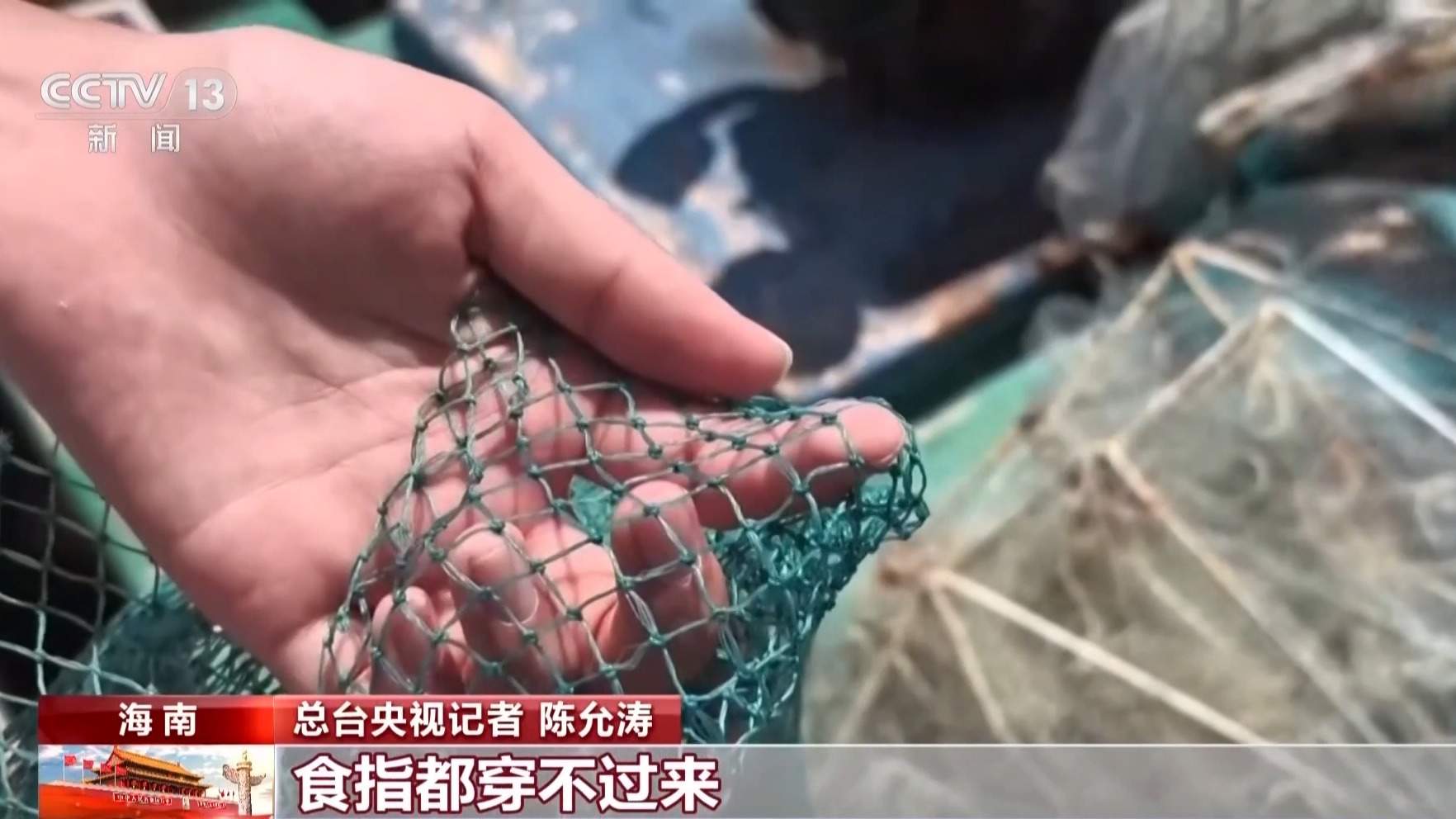 地笼泛滥 红树林保护区竟成赶海“乐园”!记者调查