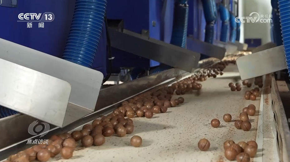 焦点访谈｜海南自贸港全岛封关“满月” 新篇章这样书写