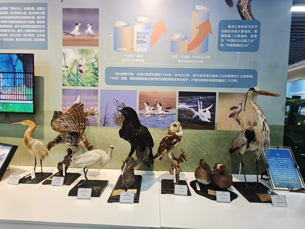 济南这场自然资源科技成果展“打包看”，共筑“登峰入海”科普盛宴