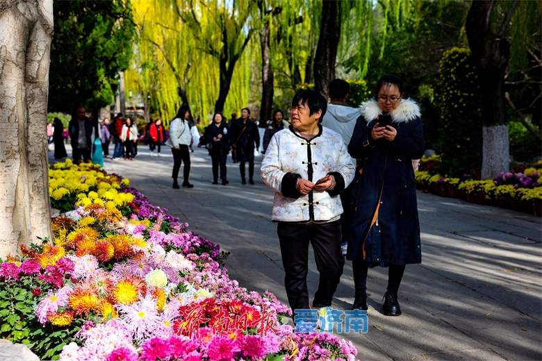 启动片区更新项目102个、老旧小区改造惠及37万户 “十四五”济南城市品质提升“成绩单”公布