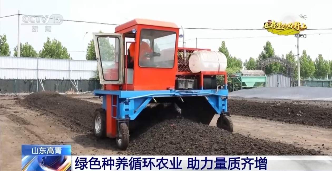 秋粮丰收在望 10月的神州大地是金色的