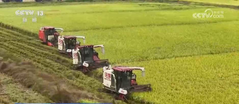 厘米级精度收割、“农田哨兵”应用……秋收“科技范儿”为粮食安全注入新动能