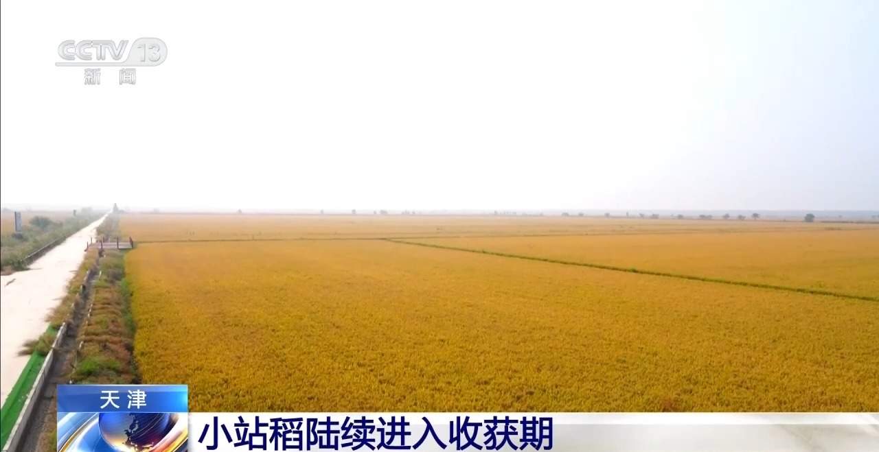 全国秋粮收获过六成