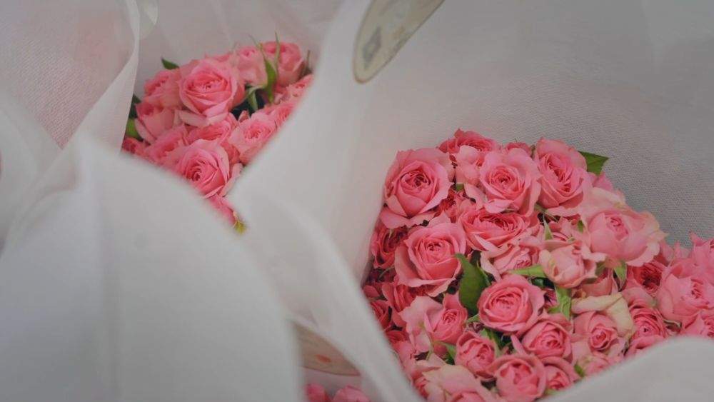 新华视点|2026开局暖人心:消费旺 服务优 基建稳