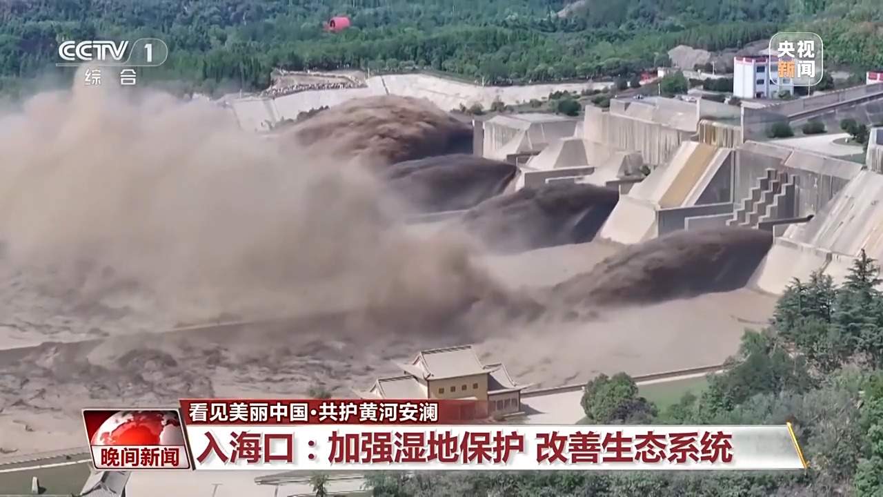 看见美丽中国丨把断流之痛化作生态之美 母亲河生态蜕变向“绿”而行