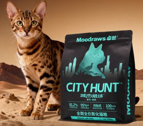 幼猫猫粮怎么选？2026 年10大品牌营养成分分析+选购攻略
