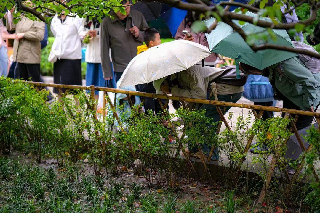 济南连阴雨“超长待机”，为啥停不了？何时才退场？