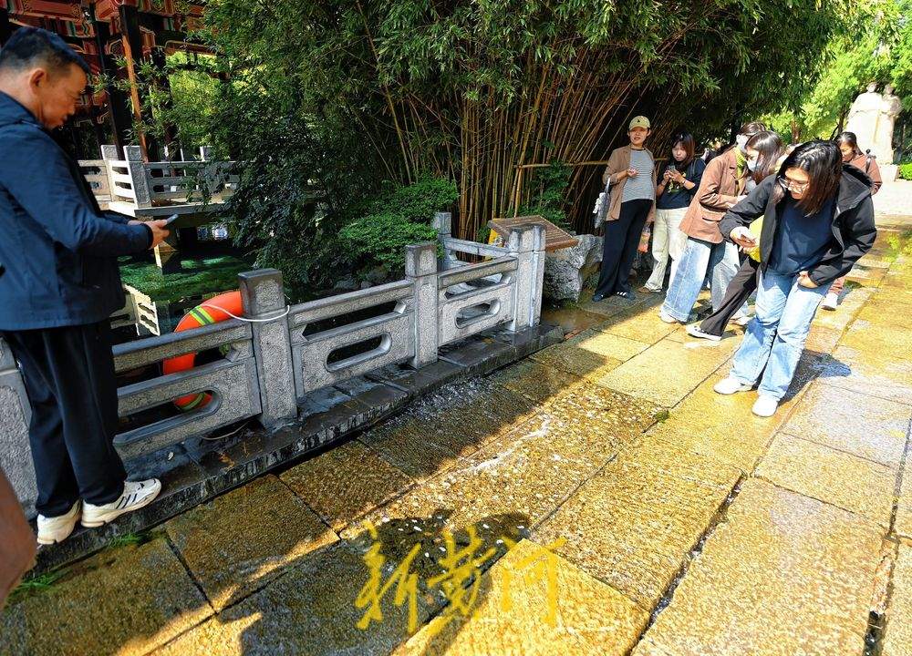 五龙潭公园古温泉“喝饱” 汇聚成溪现清泉石上流景观