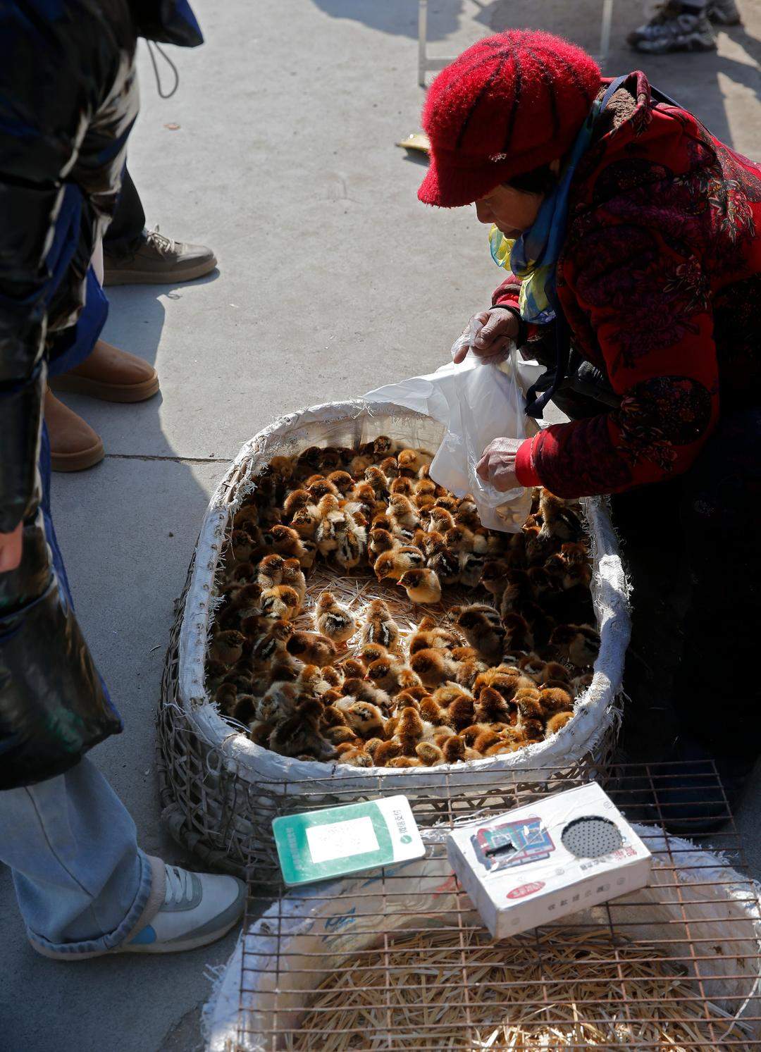 一幅画带火一个村！淄博沈家村迎来最热闹的春天