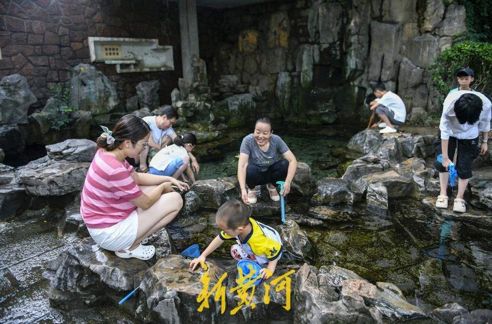 护城河畔汇波泉成夏日戏水乐园 泉水漫青石送来天然清凉
