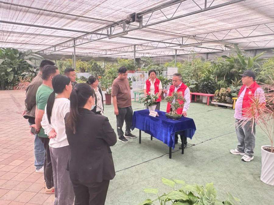 济南公园假期接待游客82.67万人次