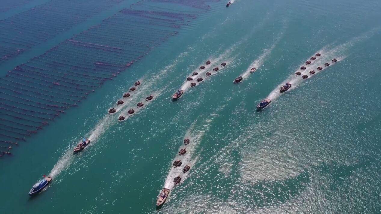 经济大省挑大梁｜种海带种成“叠叠乐” 立体生态养殖让水质优化渔民增收