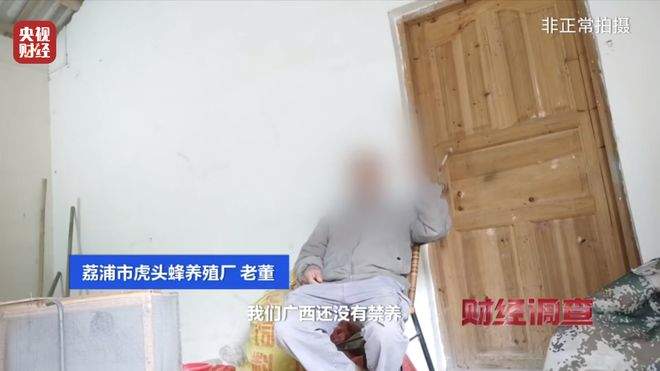 “杀人蜂”遭滥养 有人赚得盆满钵满 央视曝光