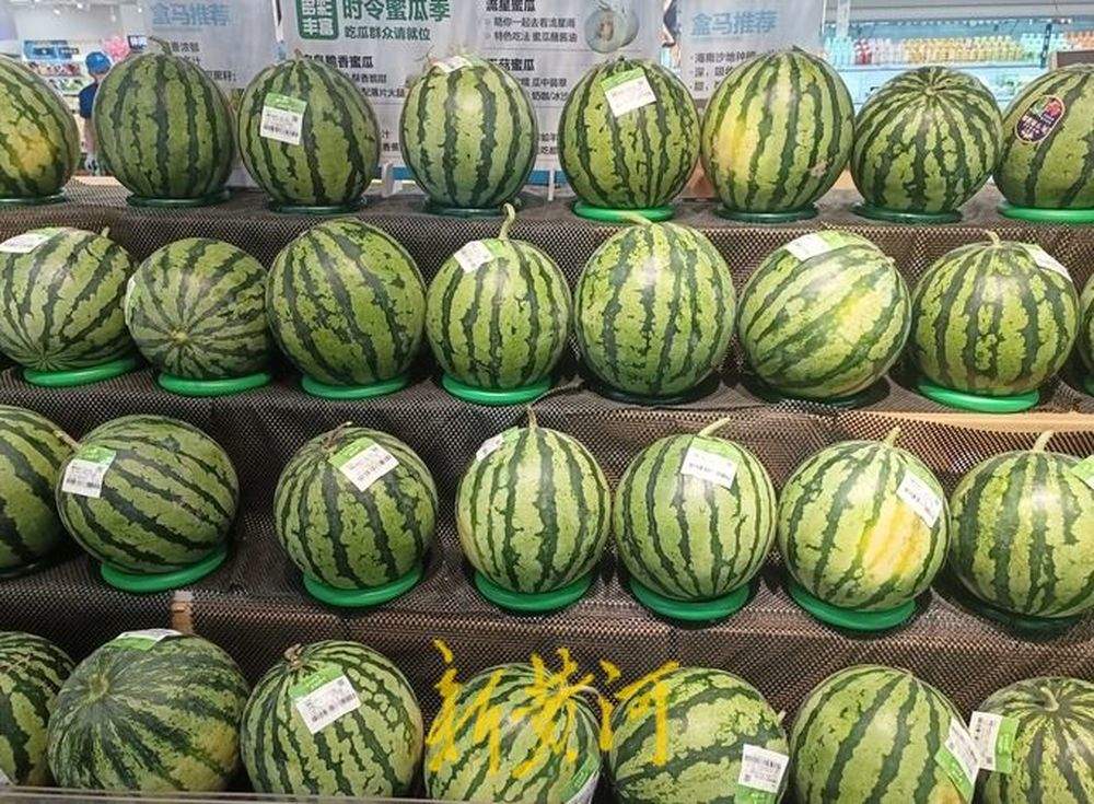 价格亲民“2元档”小型西瓜跃升济南夏日水果新顶流