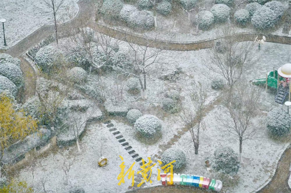 泉城喜披银装！今年入冬以来首场降雪翩然而至