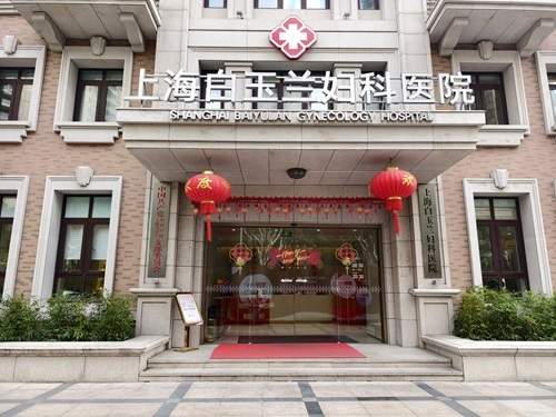 匠心护好孕 —— 上海白玉兰医院陆洪琴医生守护女性生育健康