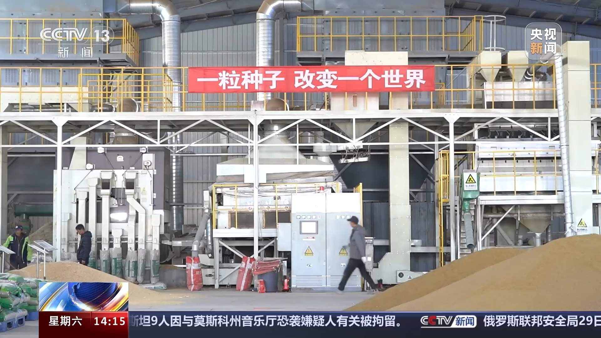 科学绿化、合理配置 良种壮苗“助阵”三北工程攻坚战