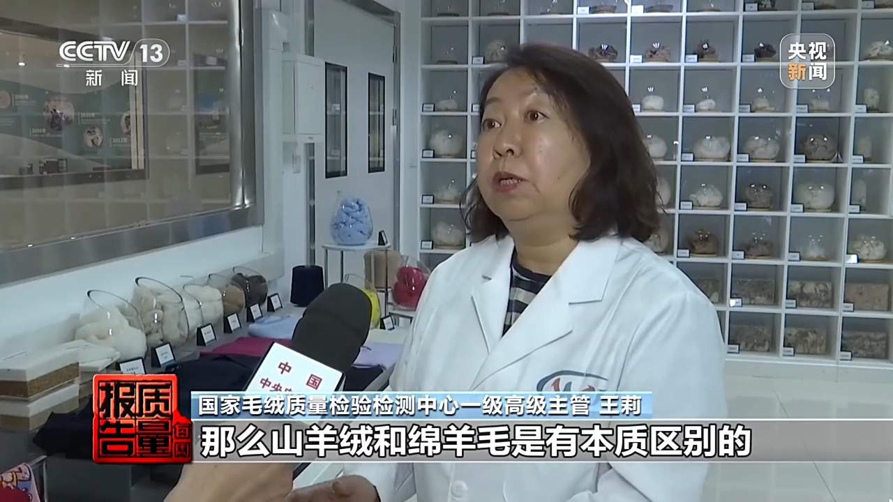 “绵羊绒”竟一根羊绒都没有 个别团体自创概念误导消费者