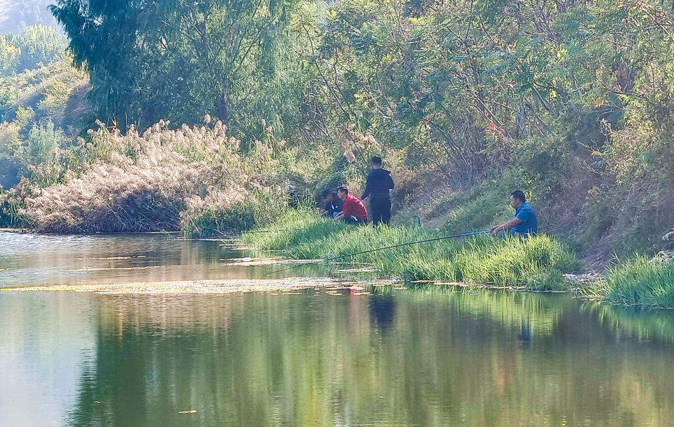 流水潺潺、鱼儿嬉戏，玉符河秋景美如画