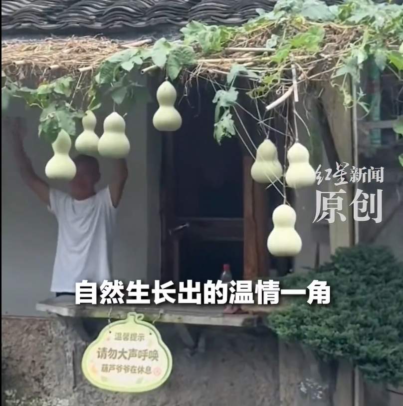 意外走红游客连日打卡，失独“葫芦娃爷爷”挂出休息牌，当地文旅：恳请大家多体谅，他不是网红，是可亲可爱的绍兴长者
