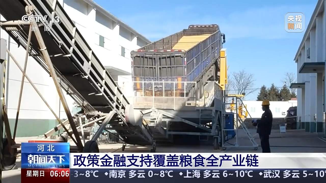 全国秋粮收购进入旺季 粮食加快“归仓”金融助力