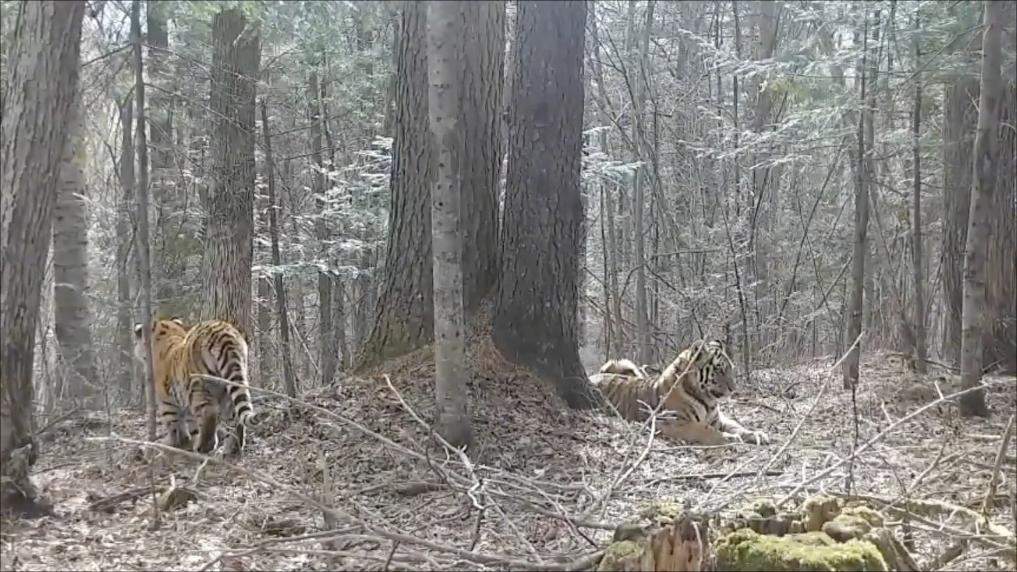 新华视点｜守护绿水青山 多元实践共筑生态环保新图景