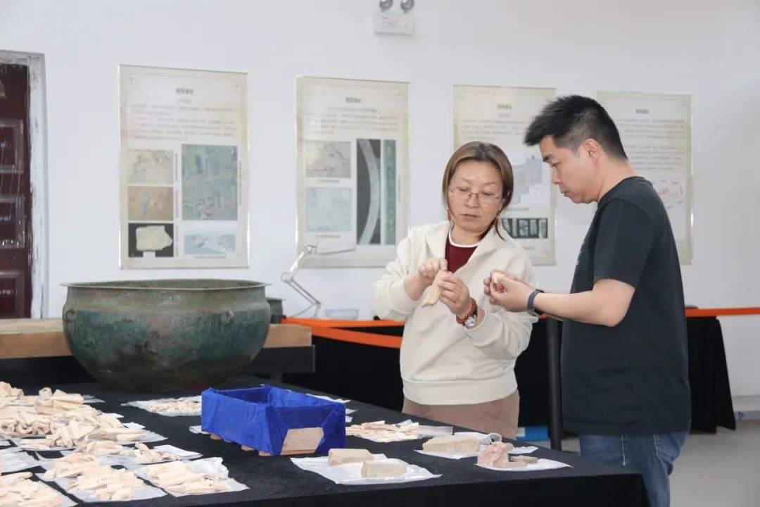 兵马俑、咸阳大遗址……36年寻秦迹，她发现了什么?