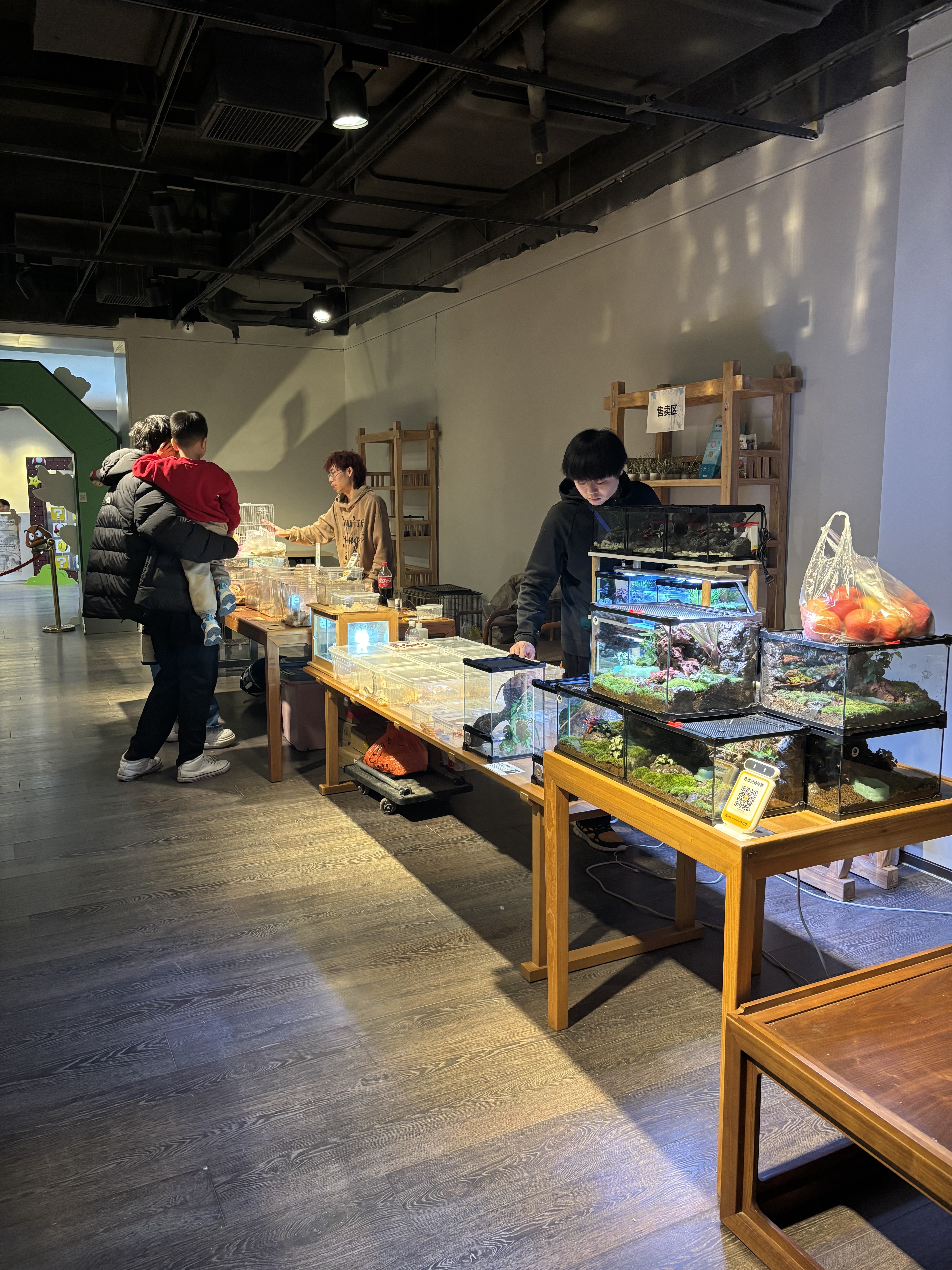 “时光印记”爬宠特展亮相泉城：在琥珀与活体间，探寻亿万年的生命回响