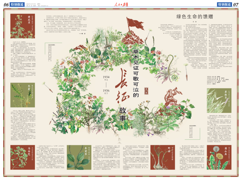草木见证！这些野草野菜，陪红军走过长征