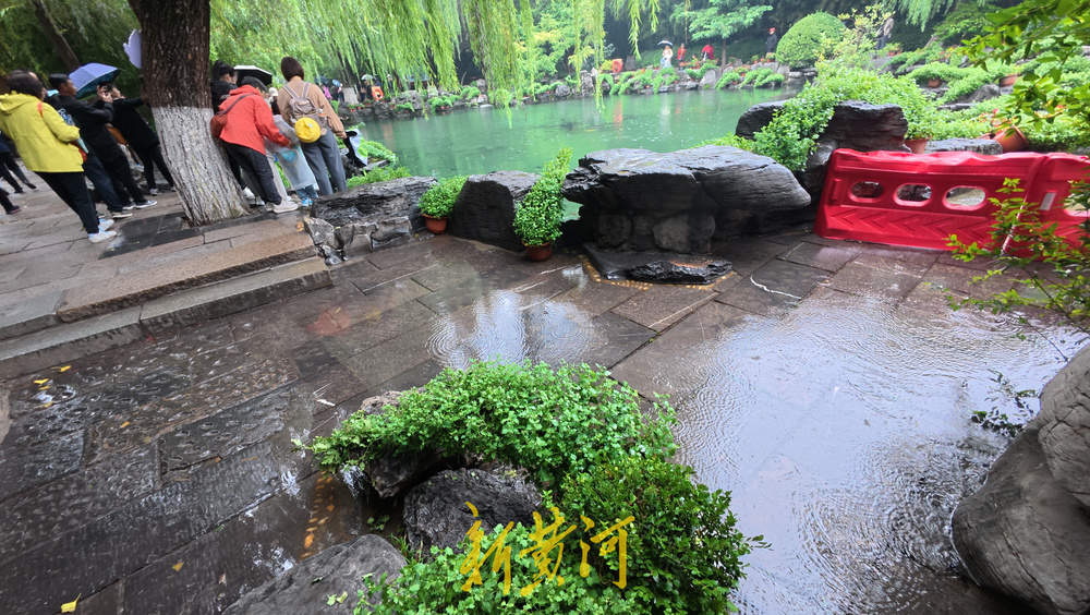 水位上涨泉水喷涌发力 溢出泉池涌入岸边路