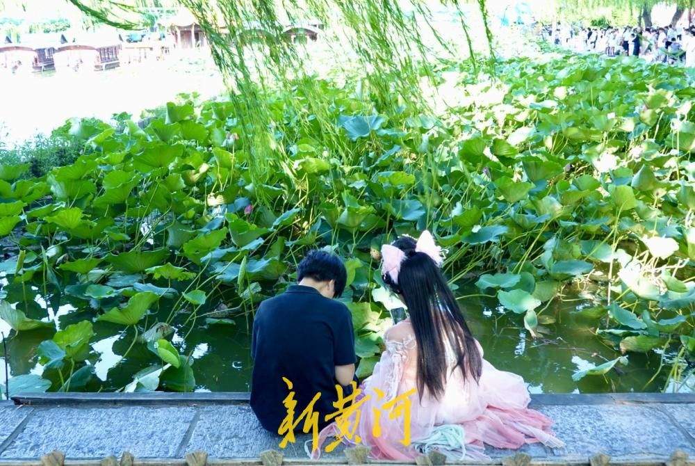 凉风习习，市民游客围坐湖堤享惬意“吹风时光”