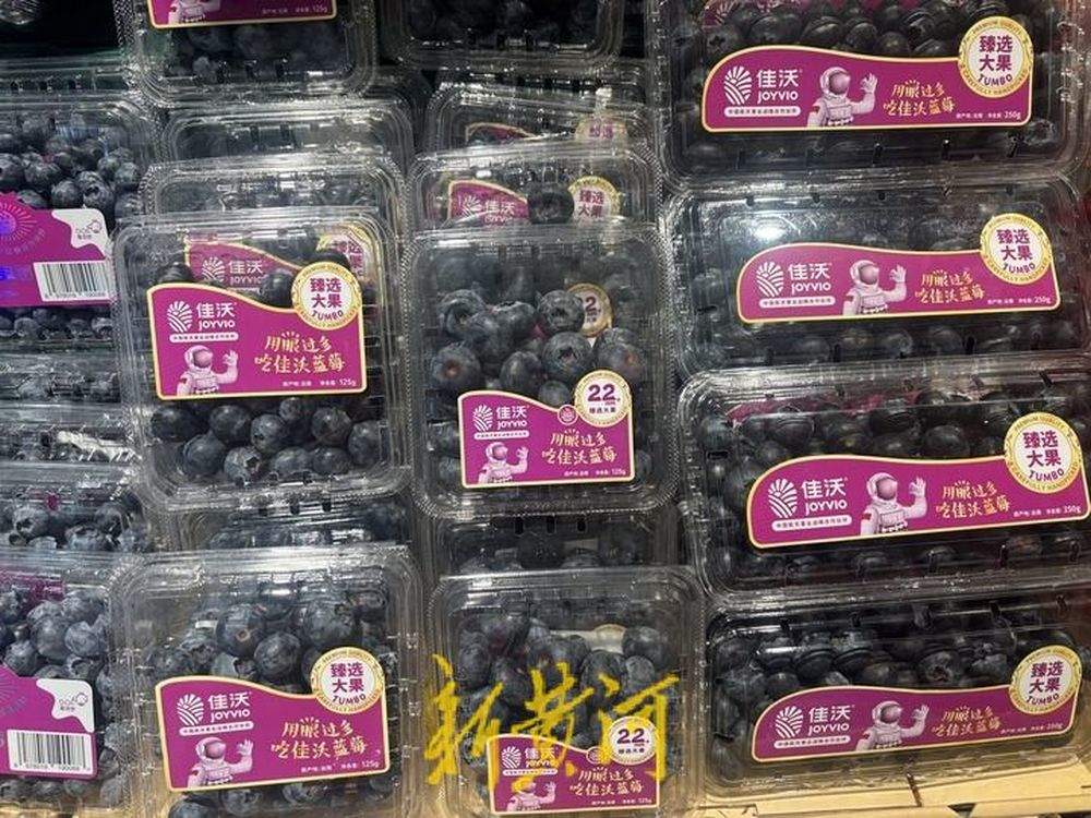 蓝莓熟了，价格跌了！每斤40至80元，预计价格还会继续降